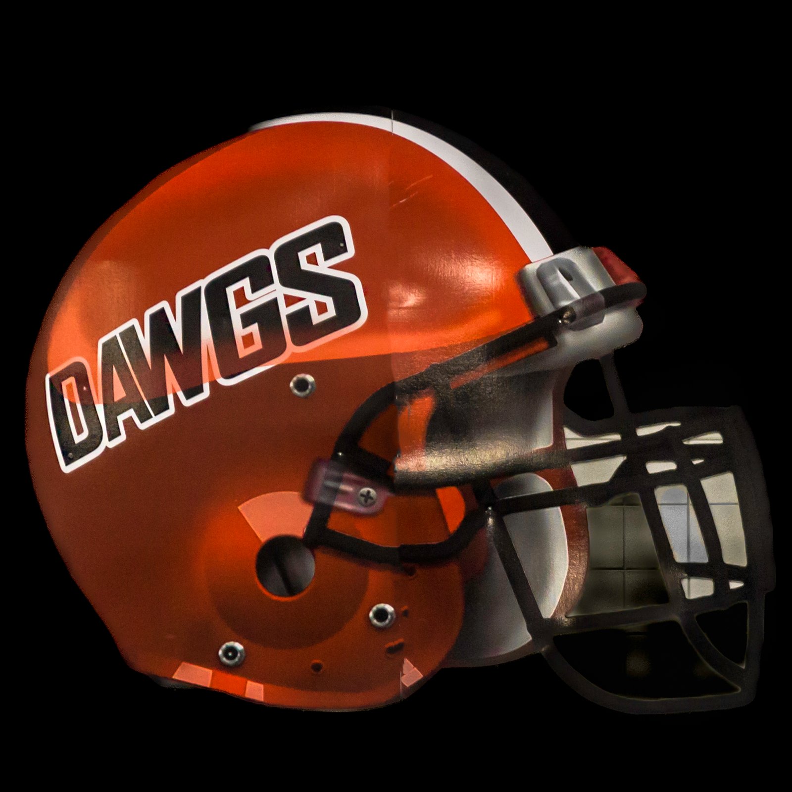 Dawg-Helment-©nolesphotography-