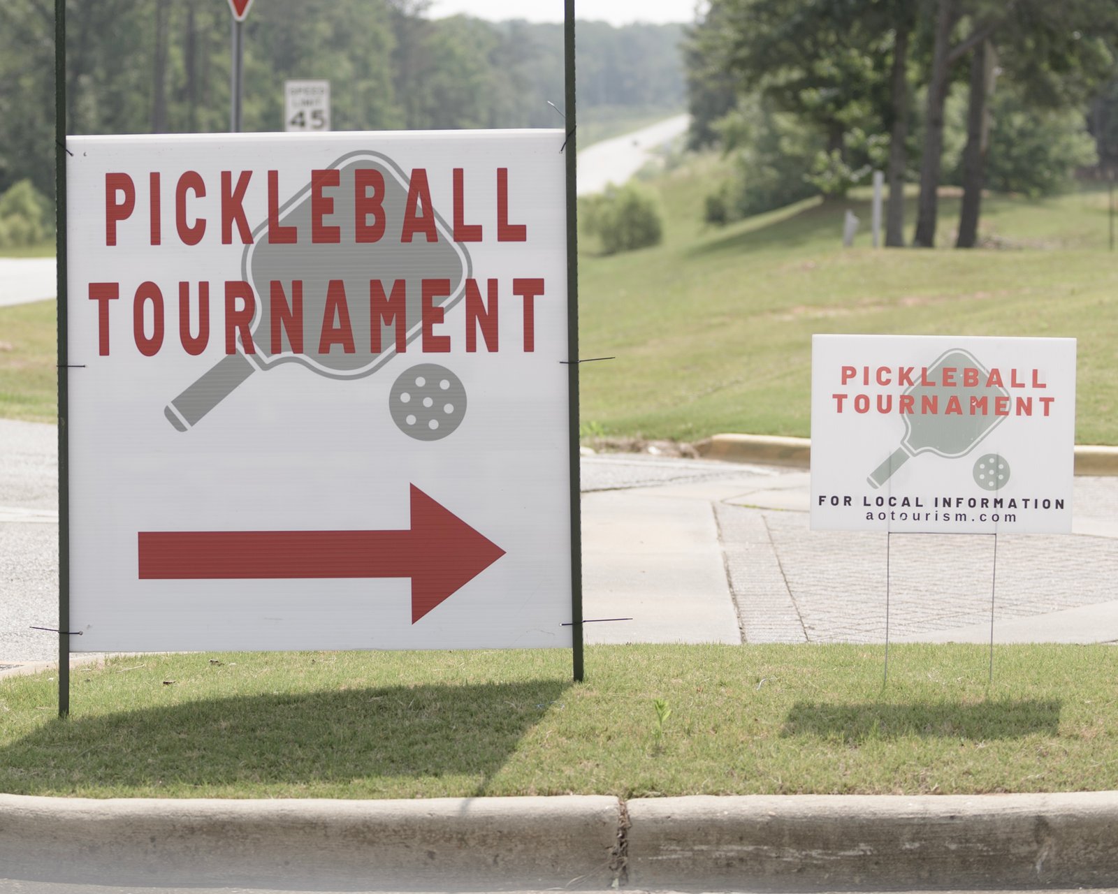 Pickleball-Sign-NP2_1084
