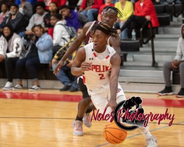 VB-Opelika-BenRussell-NP2_6212