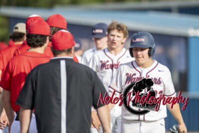 Lee-Scott-10-Springwood-0_381