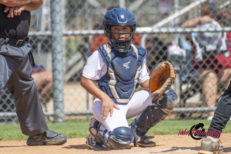 2025-DBB-World-Series_NP10148