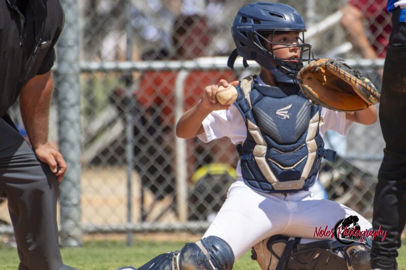 2025-DBB-World-Series_NP10157