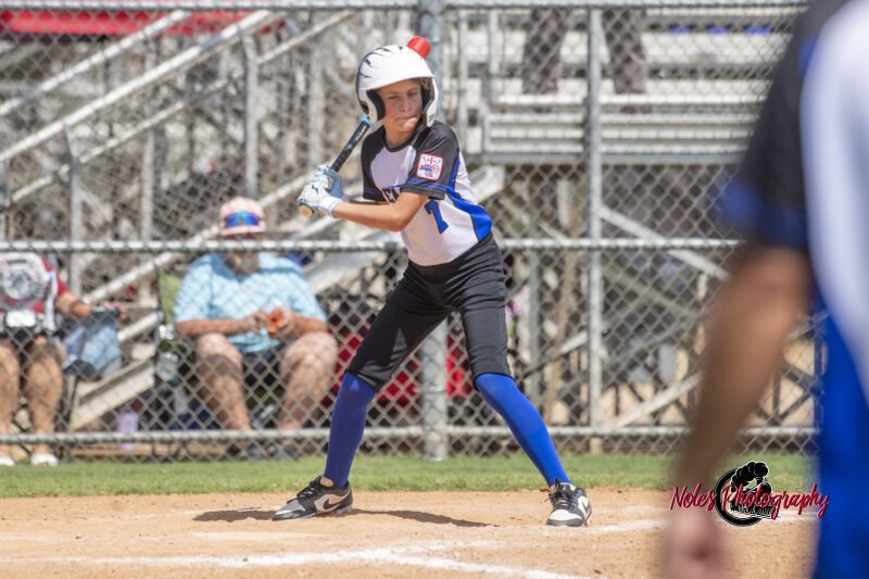 2025-DBB-World-Series_NP10176