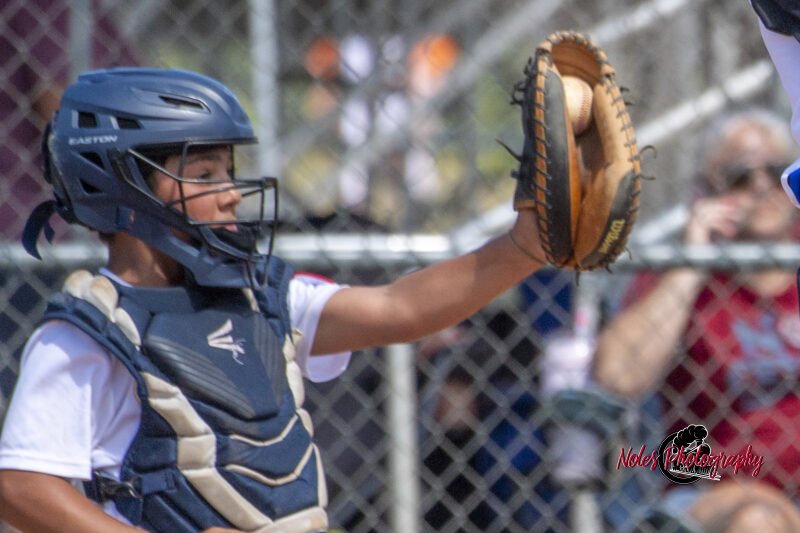 2025-DBB-World-Series_NP10290