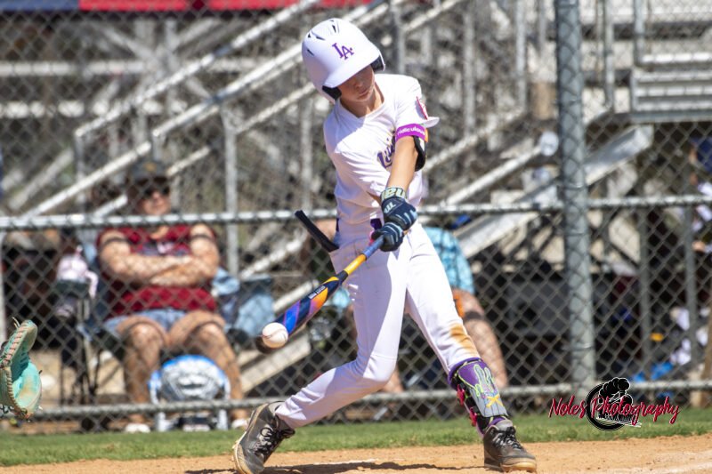 2025-DBB-World-Series_NP10353