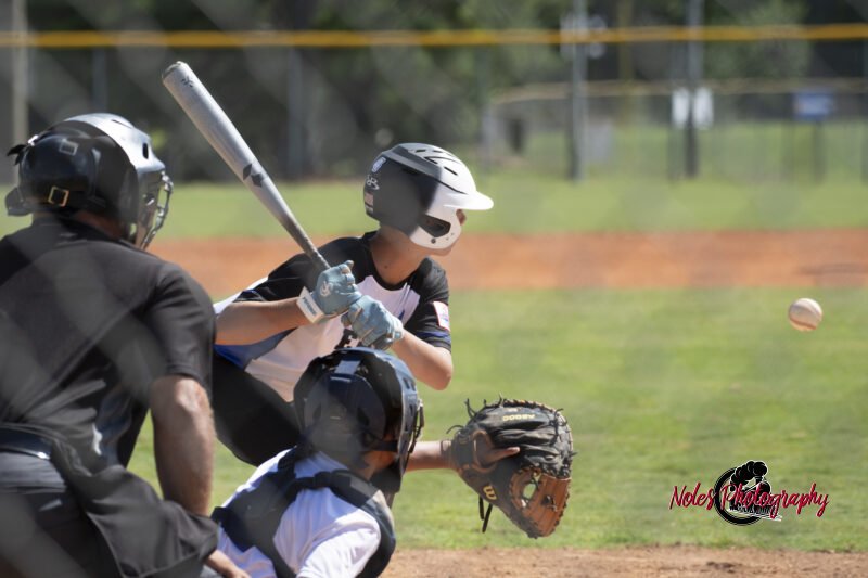 2025-DBB-World-Series_NP10430