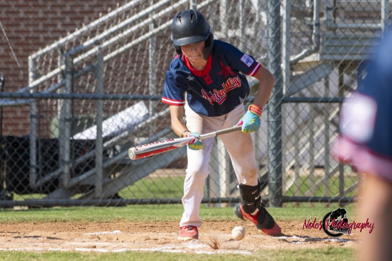 2025-DBB-World-Series_NP10525