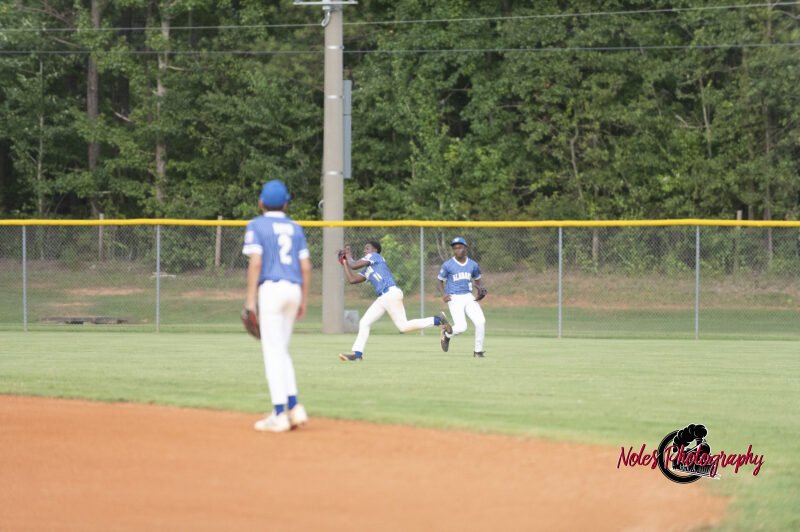 AL-LA-Playoff-game780_2705