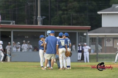 AL-LA-Playoff-game780_2920
