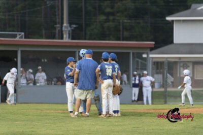 AL-LA-Playoff-game780_2922