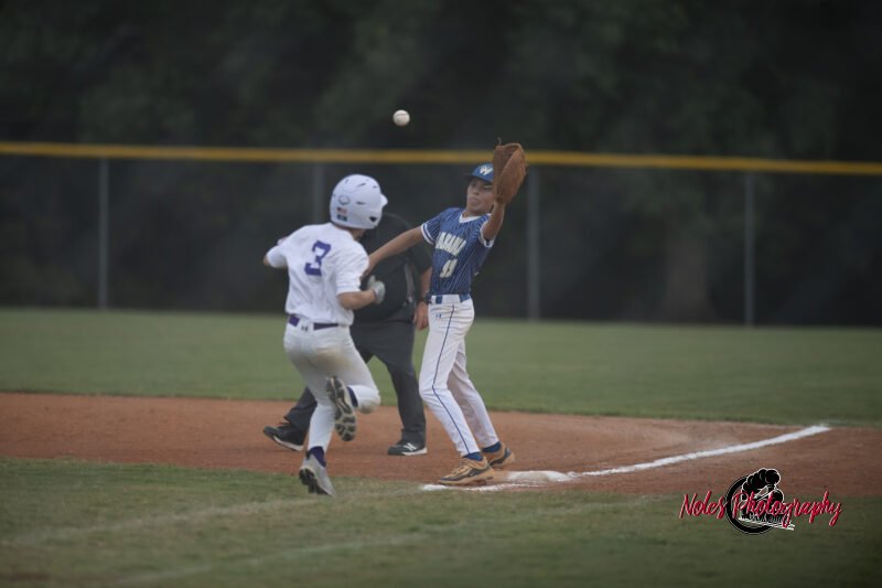 AL-LA-Playoff-game_NP12774