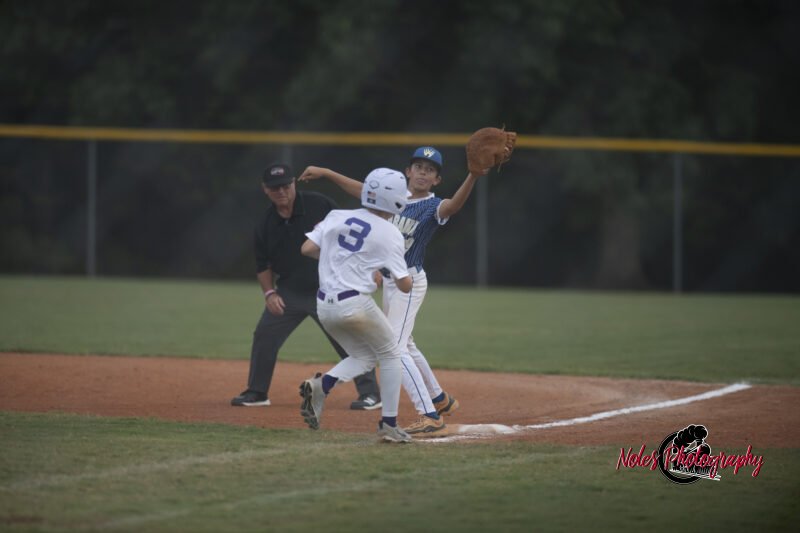 AL-LA-Playoff-game_NP12776