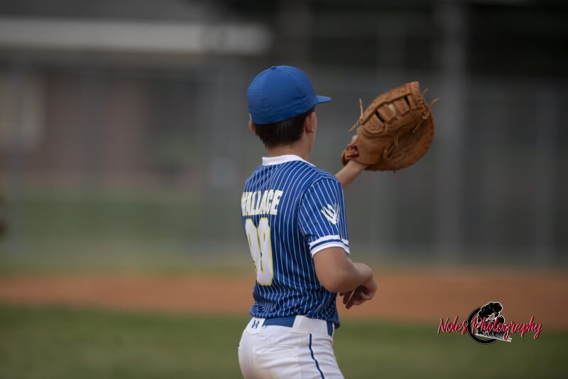 AL-LA-Playoff-game_NP12873