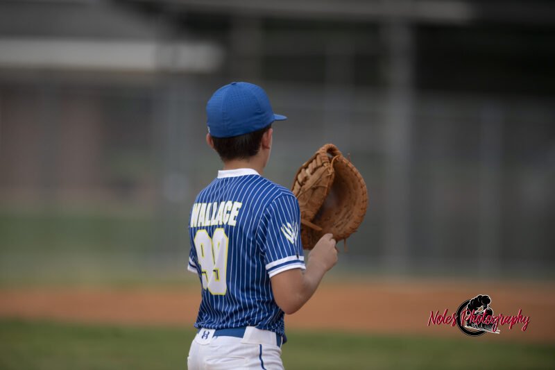 AL-LA-Playoff-game_NP12875