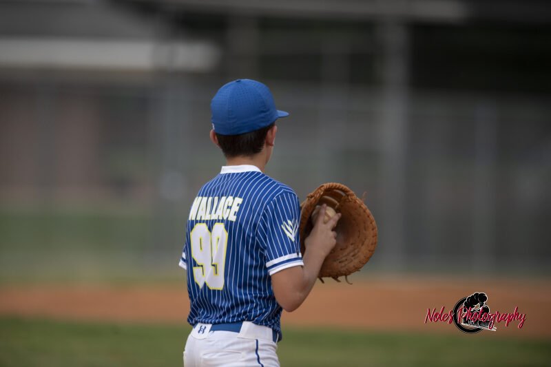 AL-LA-Playoff-game_NP12876