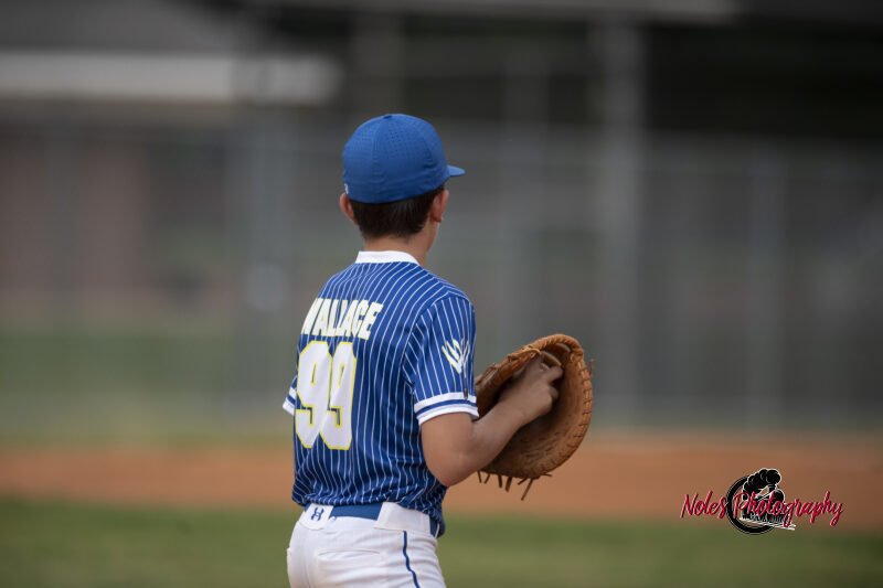 AL-LA-Playoff-game_NP12877