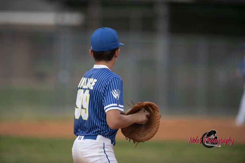 AL-LA-Playoff-game_NP12878