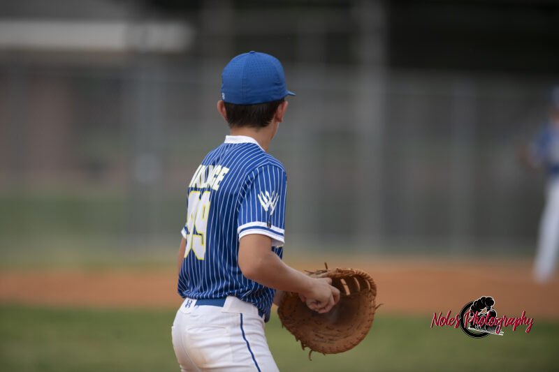 AL-LA-Playoff-game_NP12879