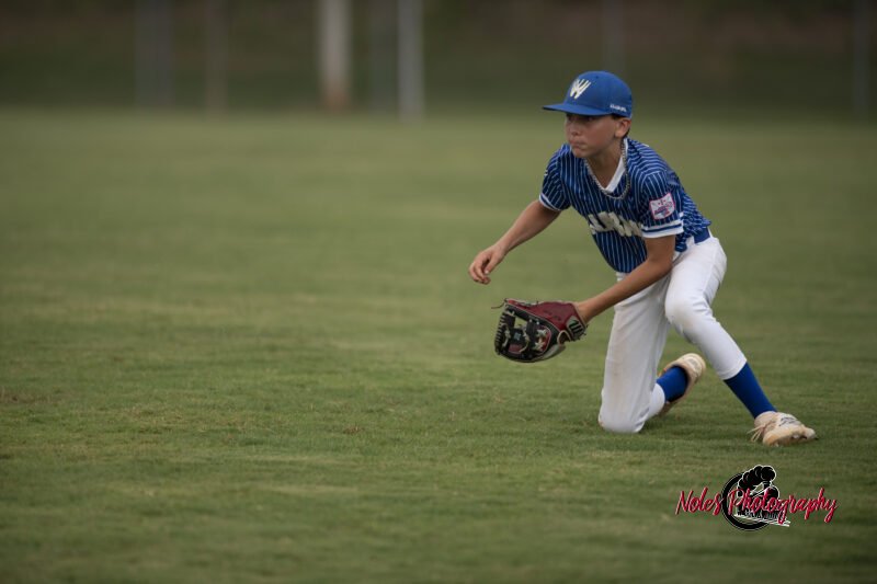 AL-LA-Playoff-game_NP12889