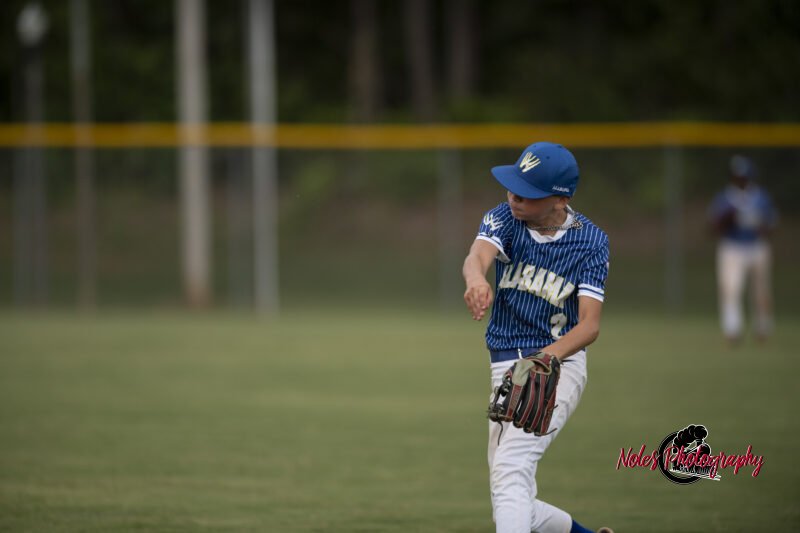 AL-LA-Playoff-game_NP12896