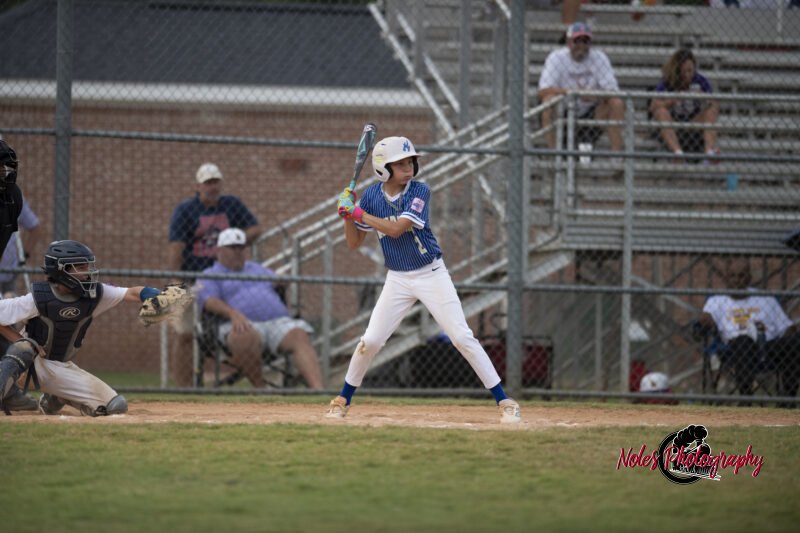 AL-LA-Playoff-game_NP12918