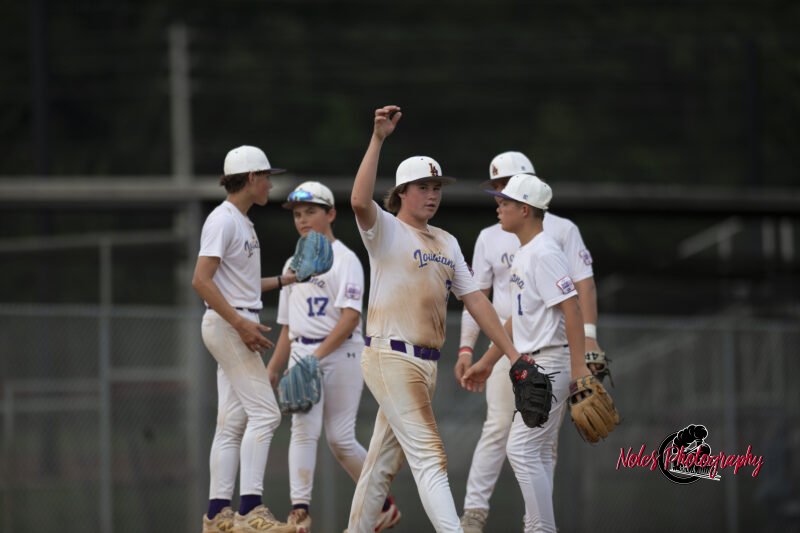 AL-LA-Playoff-game_NP12948