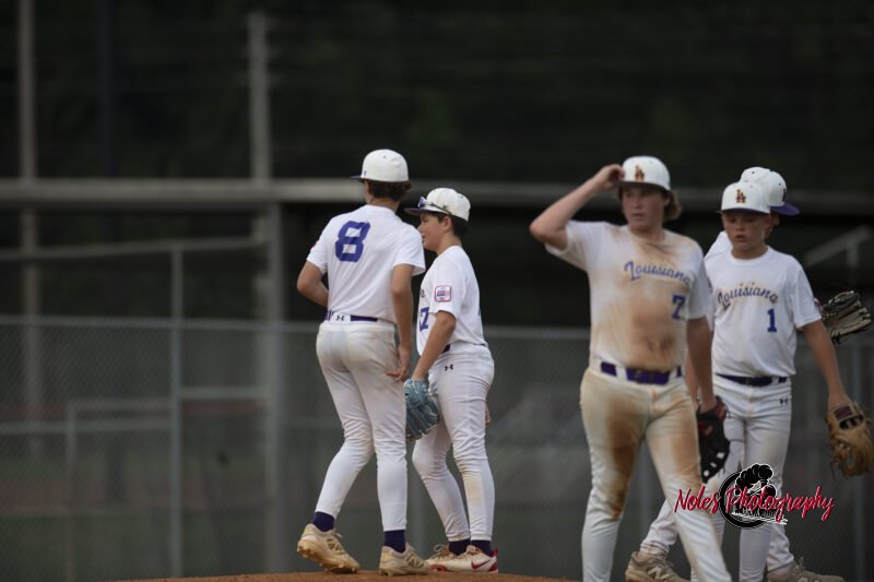 AL-LA-Playoff-game_NP12951