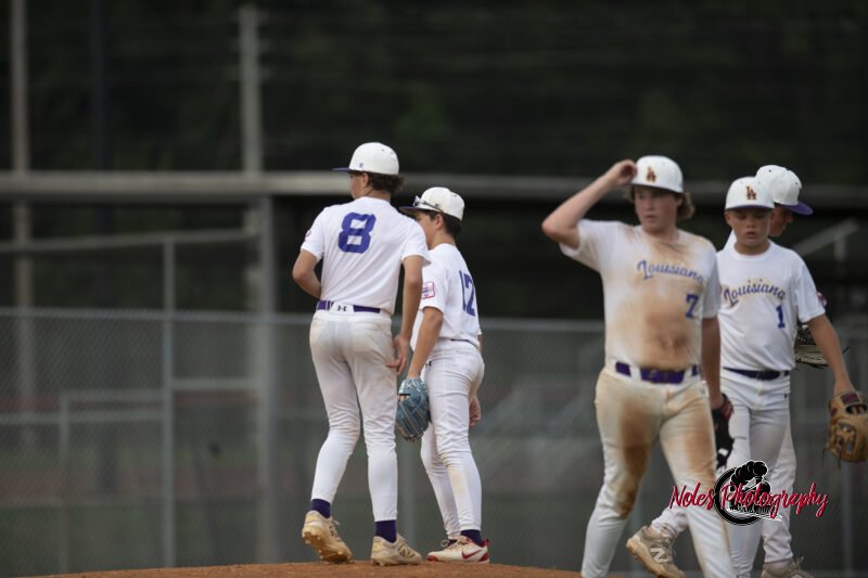 AL-LA-Playoff-game_NP12952