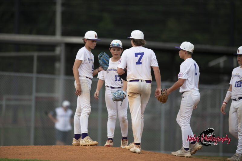 AL-LA-Playoff-game_NP12985