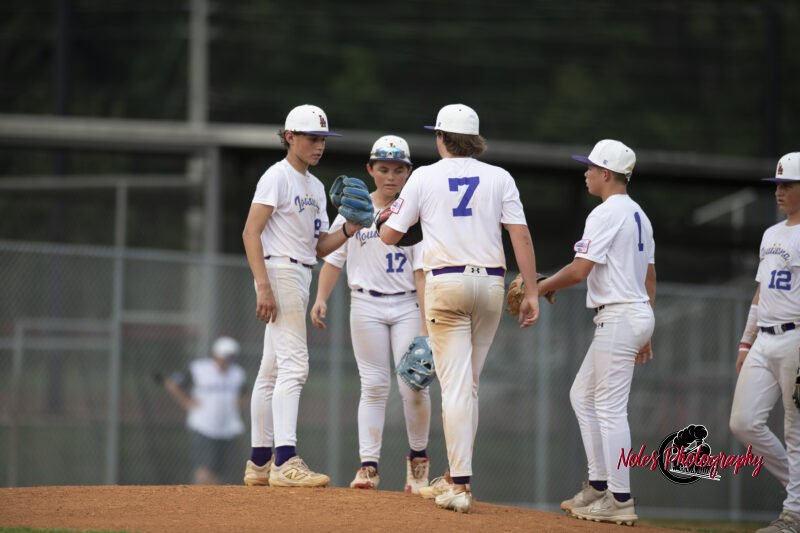 AL-LA-Playoff-game_NP12986