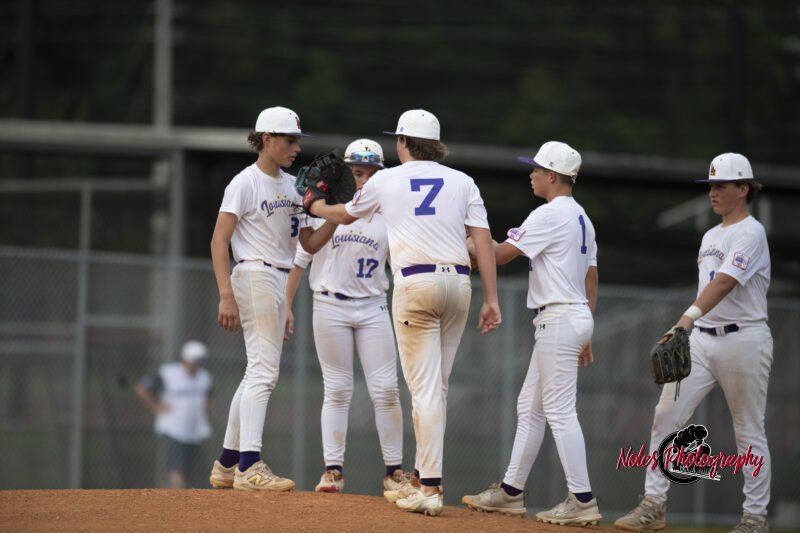 AL-LA-Playoff-game_NP12987