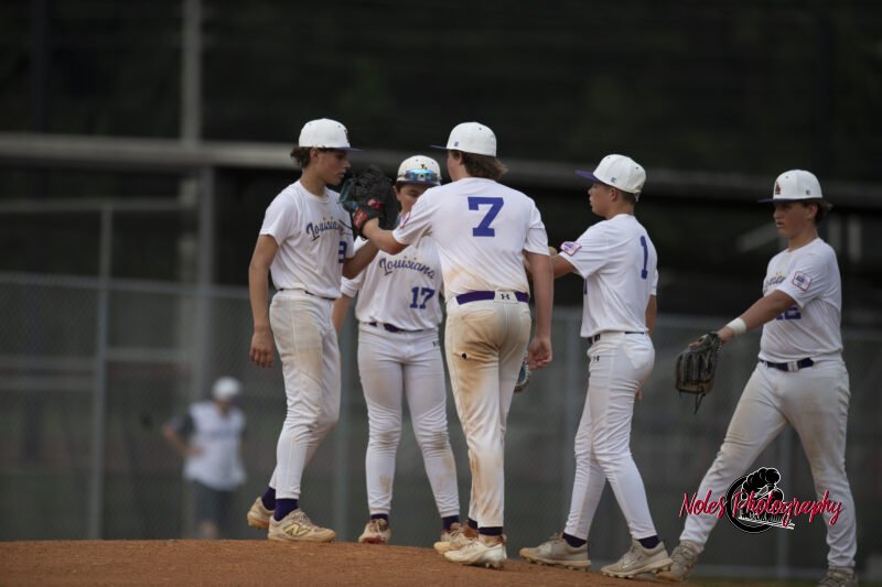 AL-LA-Playoff-game_NP12988