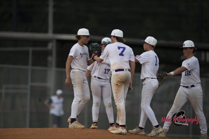 AL-LA-Playoff-game_NP12989