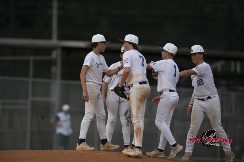 AL-LA-Playoff-game_NP12990