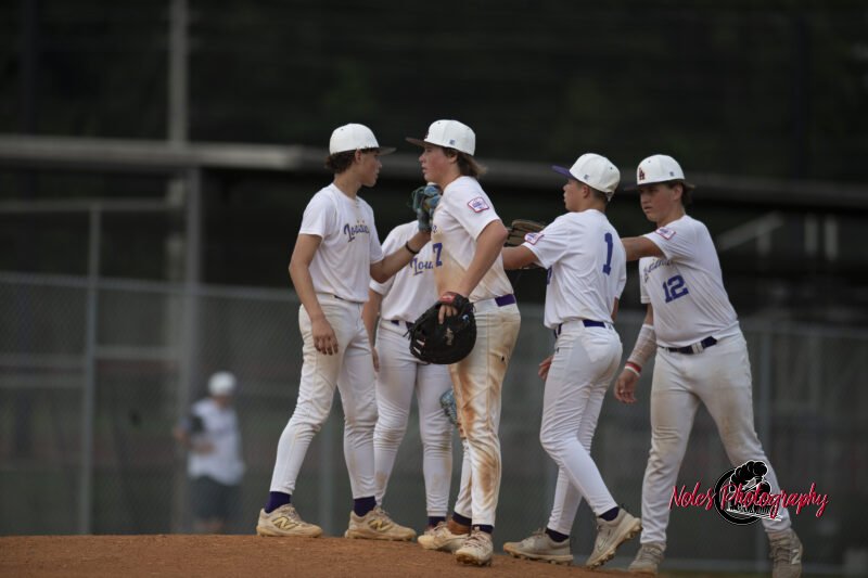 AL-LA-Playoff-game_NP12992