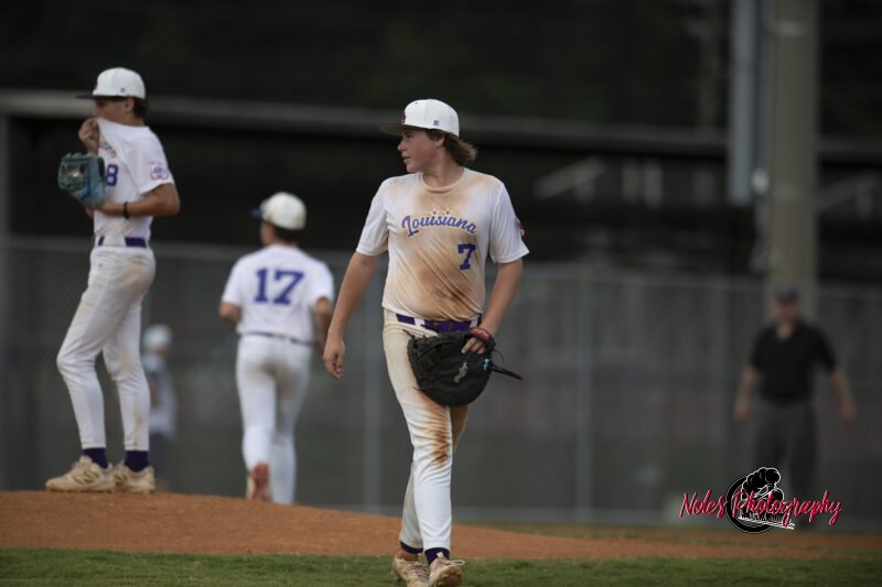 AL-LA-Playoff-game_NP12993