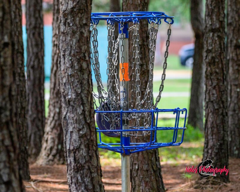 Disc-Golf-Tourament-9731